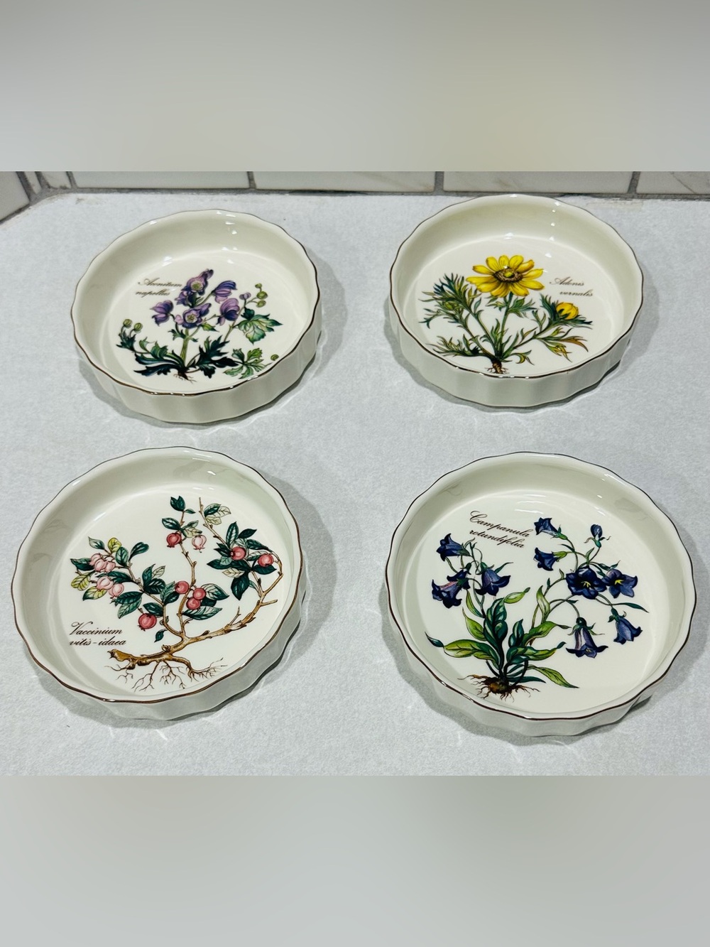 Villeroy & Boch Luxembourg Botanica Tart Dish Pan Set Of 4 .
